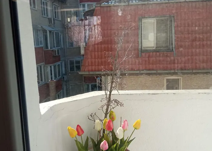 International 2-star Spacious 88 Sq M